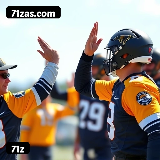 Níveis do programa VIP da 71z